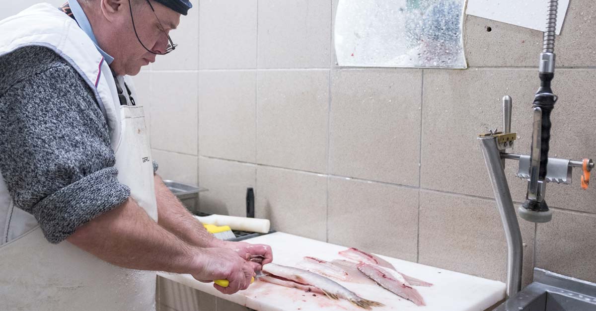 Biofisch Mitarbeiter Oleg beim Fischfiletieren in der Biofisch Manufaktur in Hetzendorf