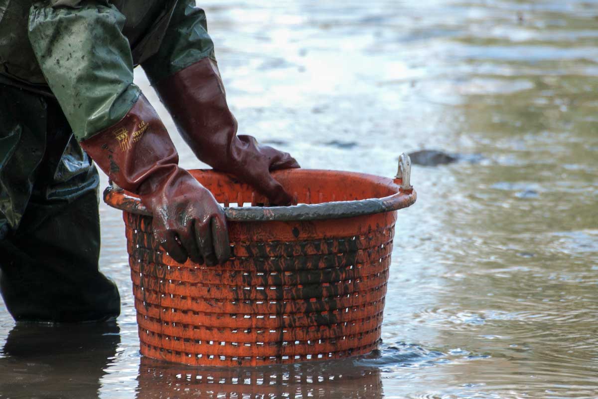 Detail eines Biofisch Mitarbeiters mit rotem Kübel beim Abfischen am Teich