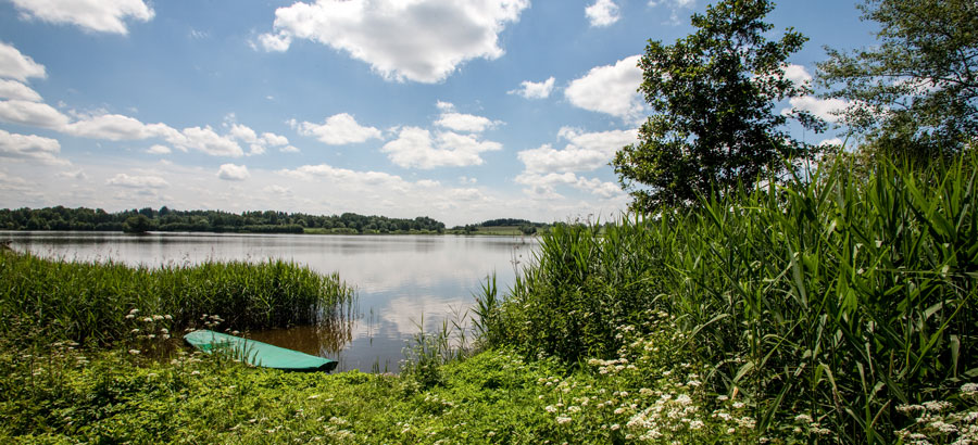 Haslauer Teich mit grünem Boot