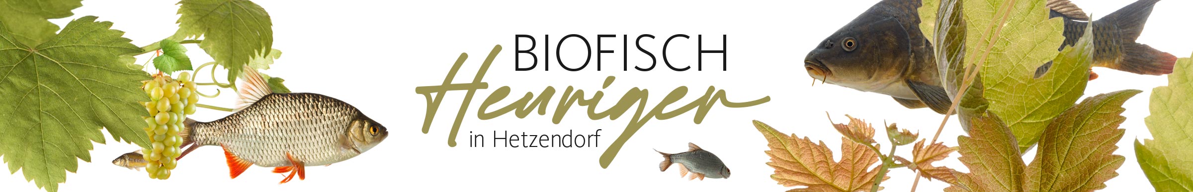 Biofisch Heuriger in Hetzendorf Visual